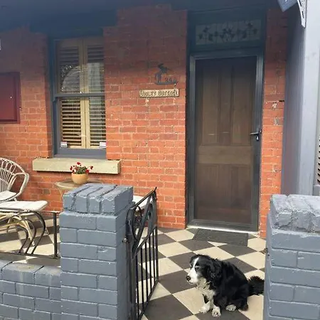 Violet Cottage In The City Hobart Exterior photo